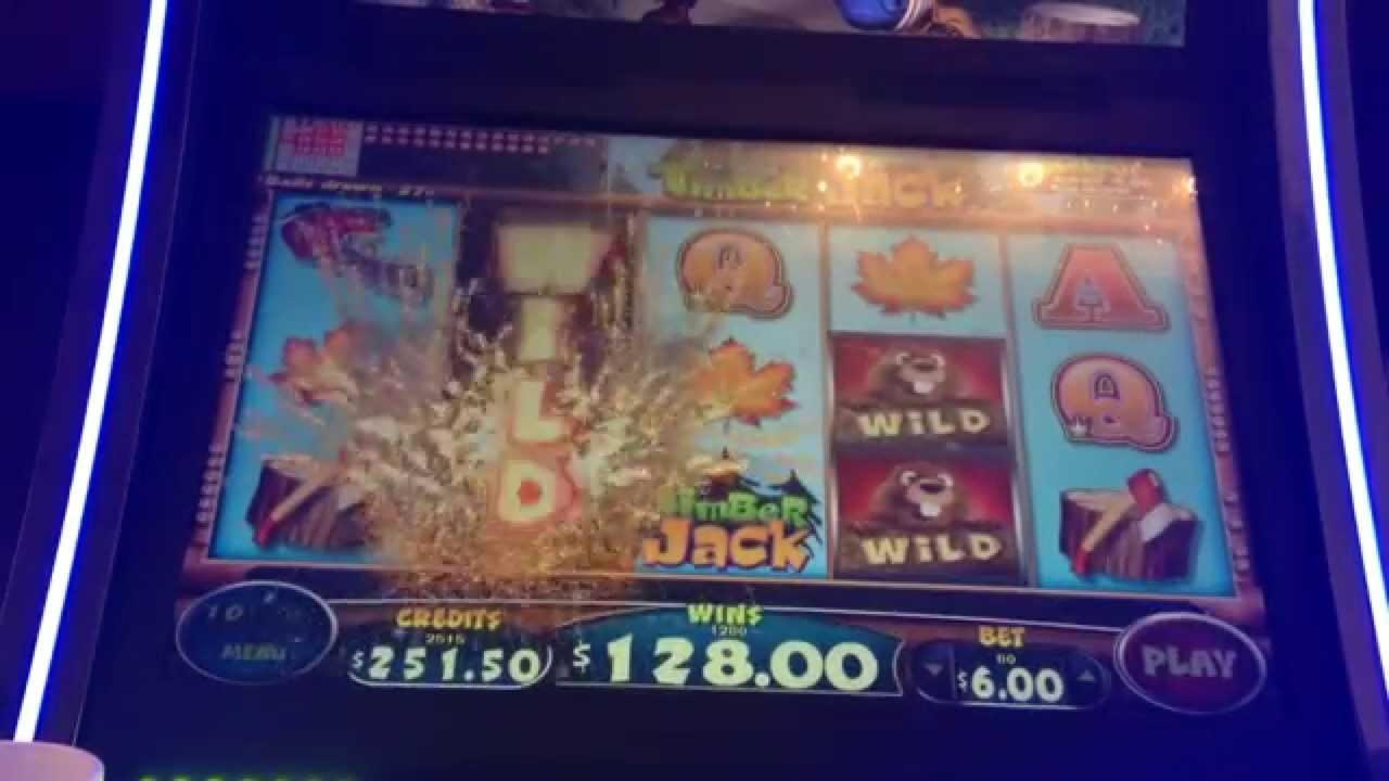 $22 Daily freeroll slot tournament at Casino Action