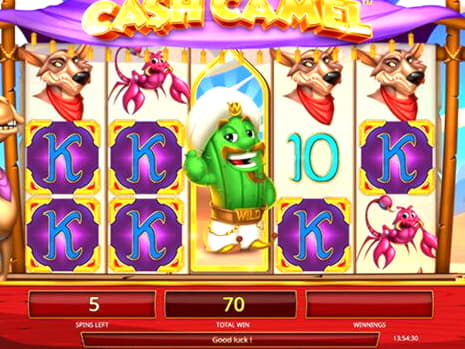 €590 Free Casino Chip at Casino Action