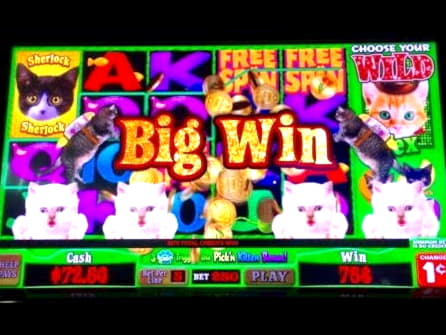 €4455 no deposit bonus casino at Grand Mondial Casino