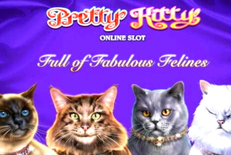€66 Online Casino Tournament at Euro Palace Casino