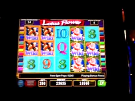 $310 Mobile freeroll slot tournament at Platinum Play Casino