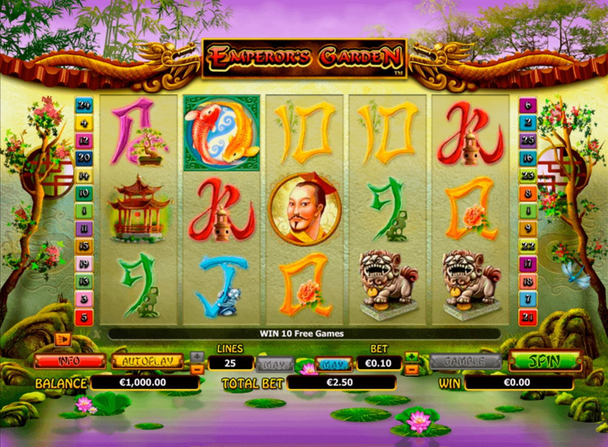 $222 Daily freeroll slot tournament at Casino Action