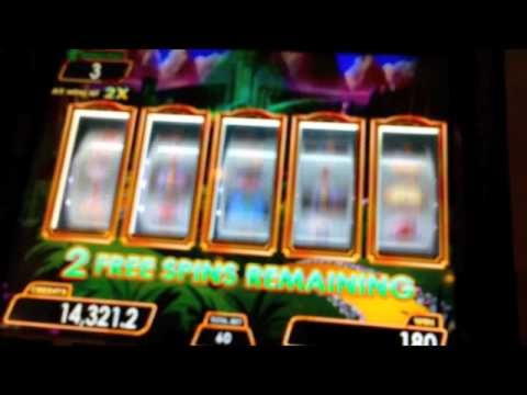 €3110 No deposit bonus code at Yukon Gold Casino