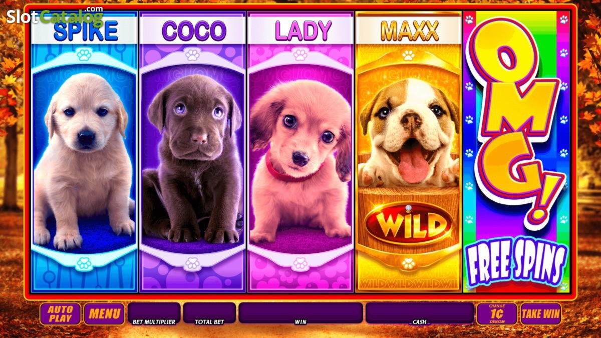 ﻿$285 Tournament at All Slots Casino
