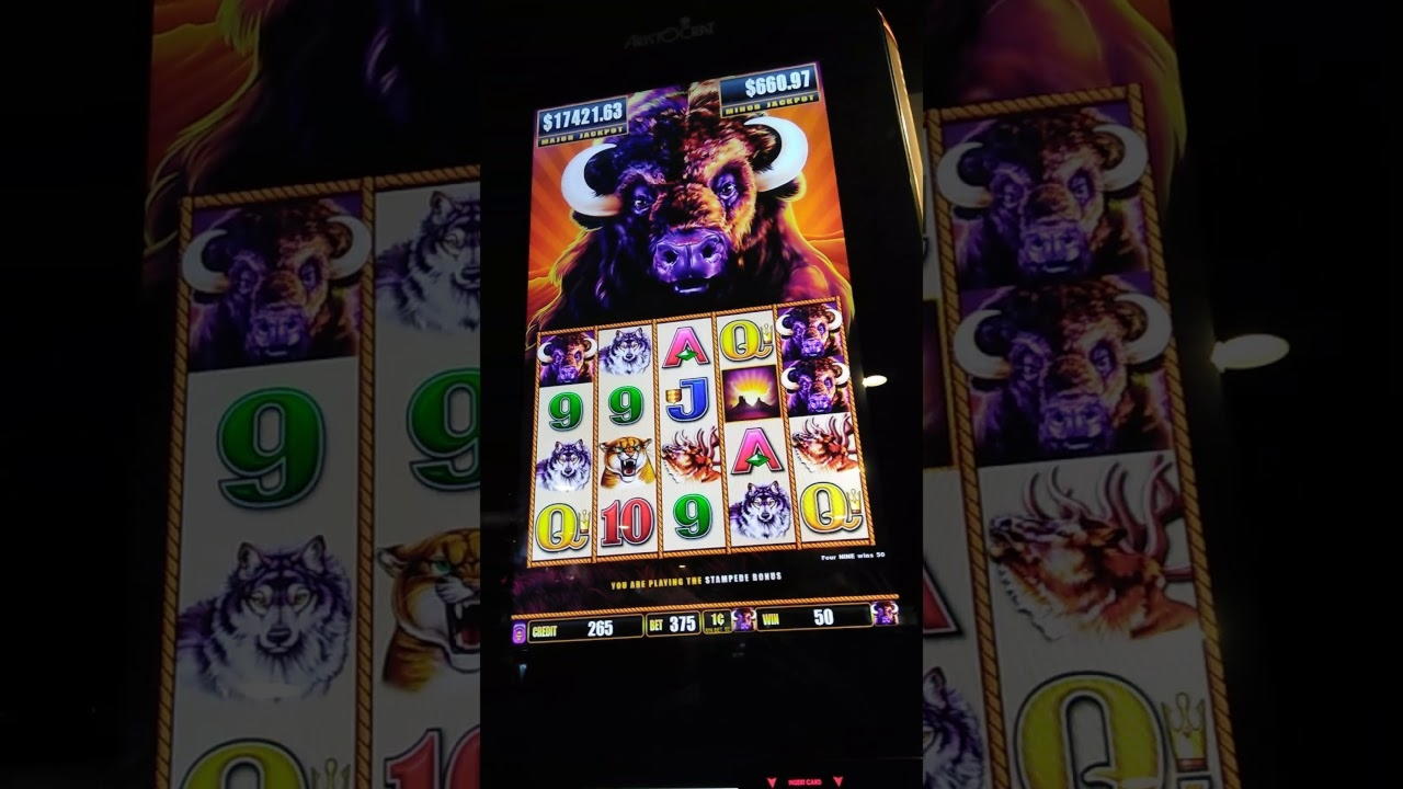 300 Loyal Free Spins! at Captain Cooks Casino