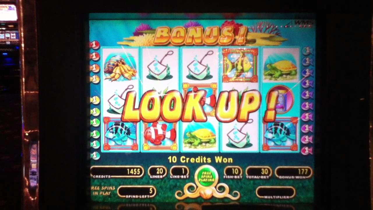 225 Free Casino Spins at Casino Action