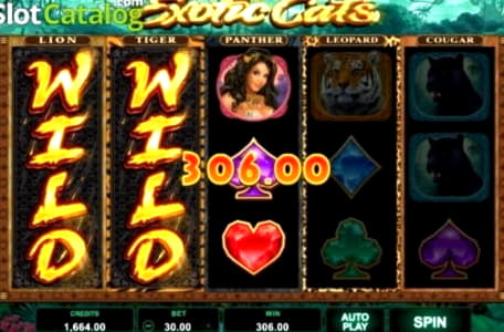EURO 200 Free Casino Tournament at Grand Mondial Casino