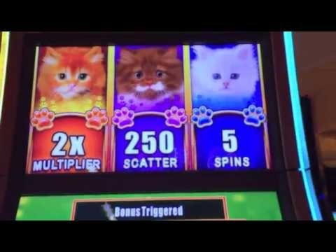 730% Match at a casino at Jackpot City Casino