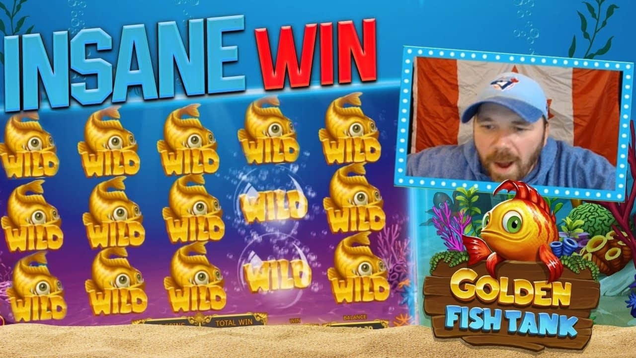 $380 Daily freeroll slot tournament at Platinum Play Casino