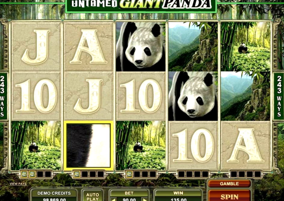 €420 Daily freeroll slot tournament at Challenge Casino