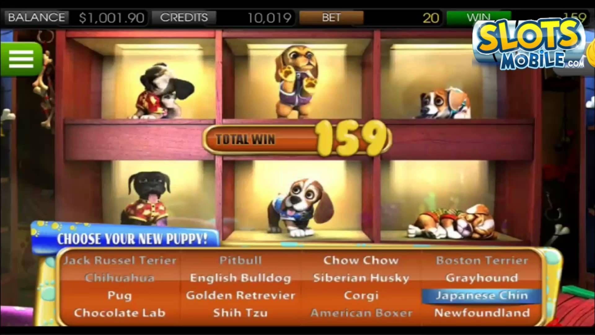 EUR 255 Free Casino Chip at Lucky Nugget Casino
