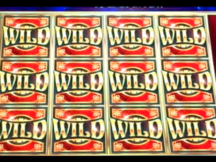 $305 Free Casino Chip at Mrgreen Casino