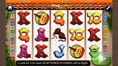 270 free casino spins at XXX Casino 