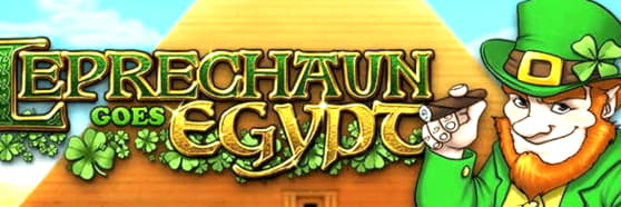 790% First deposit bonus at XXX Casino 