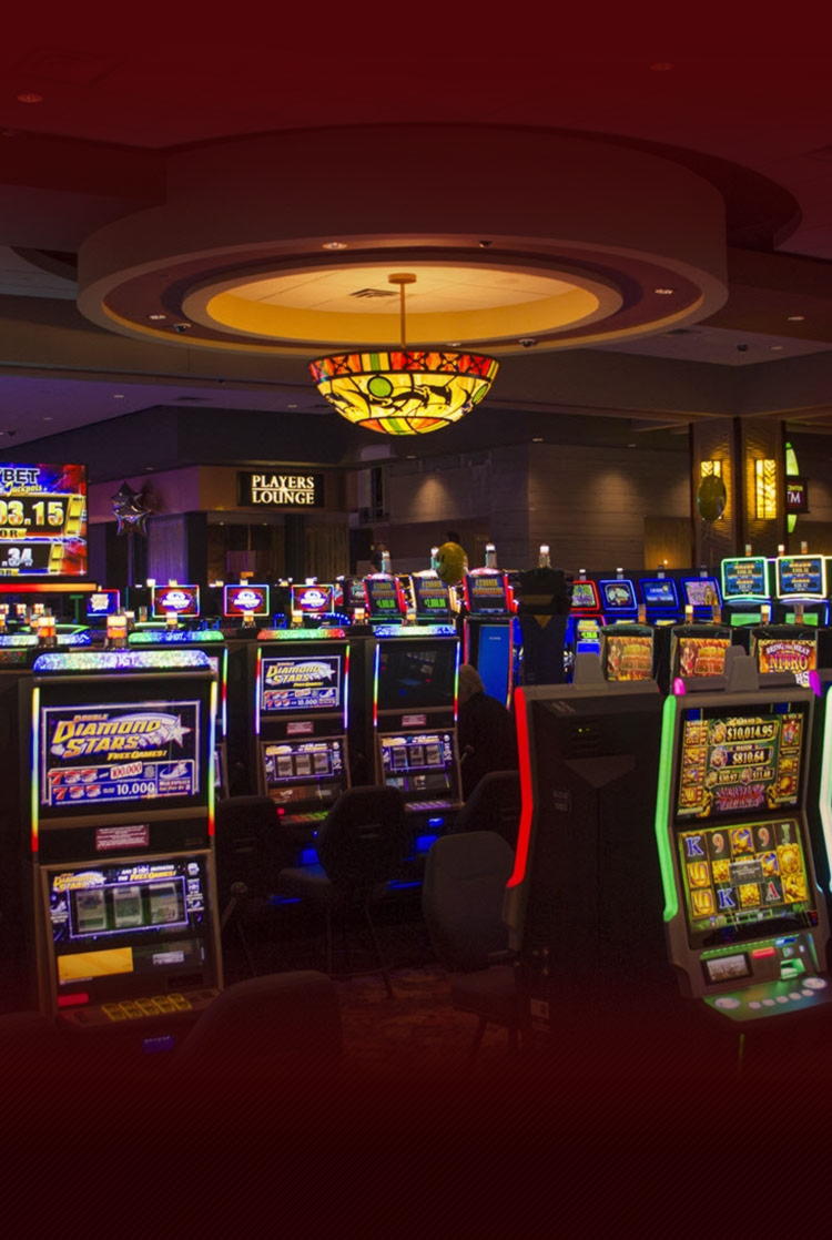 835% Signup casino bonus at XXX Casino 