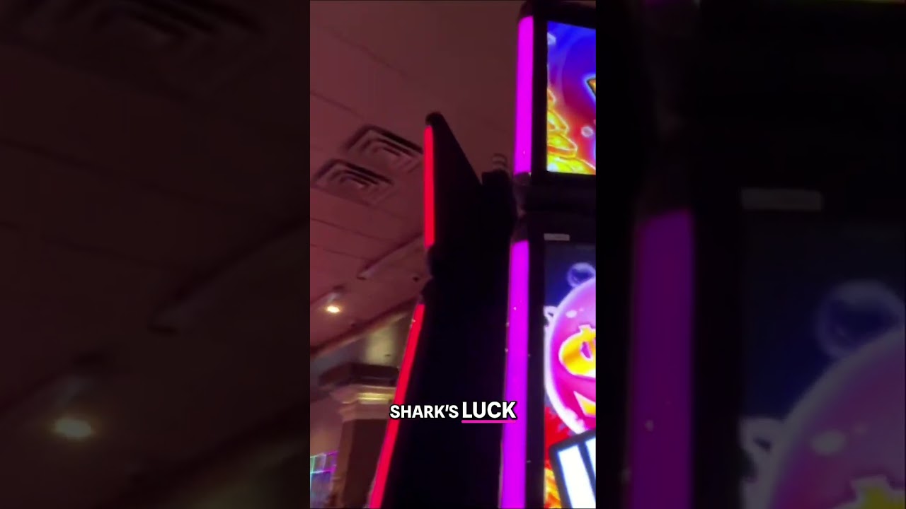 🎰 Casino NIGHTMARE! Losing Money & Girl Drama 😬💔 #casino #slotscasinogames #casinogame #funny #slot